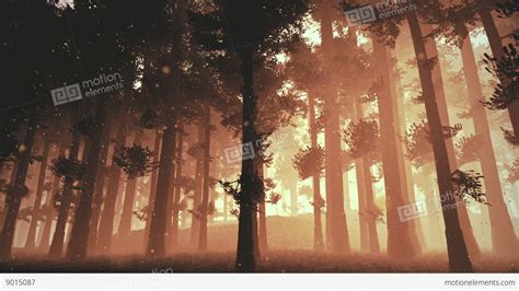 Mysterious Fairy Tale Deep Forest With Fireflies 4 Stock Animation