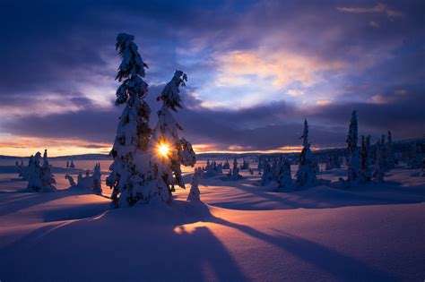 Winter Morning By Jorn Allan Pedersen
