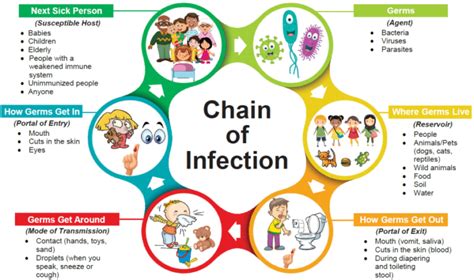 Chain Of Infection Definition Get Education