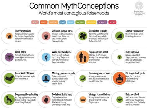 52 Common Myths Rumors And Falsehoods Debunked Big Think