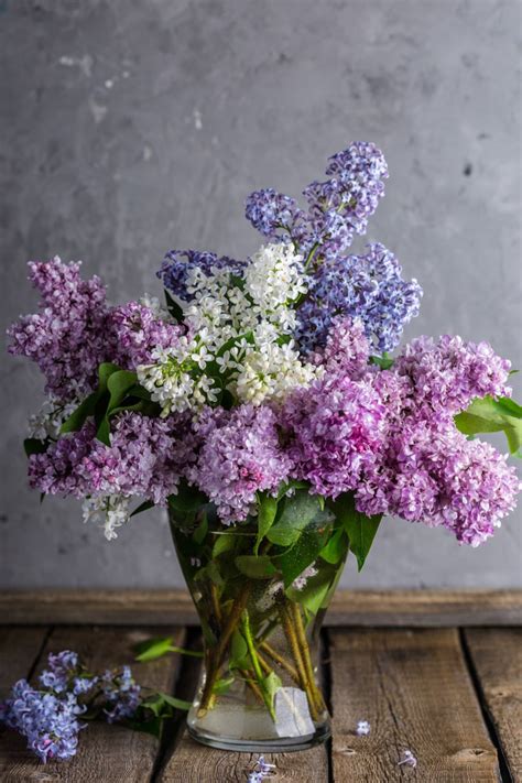 8 Conseils Pour De Beaux Lilas Lilac Bouquet Flower Arrangements