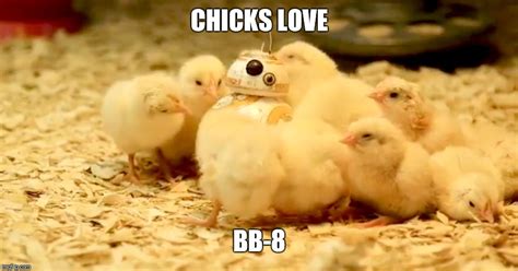 Chicks Love Bb8 Imgflip