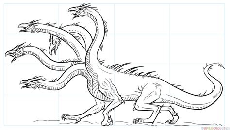 How To Draw A Hydra Step By Step Drawing Tutorials