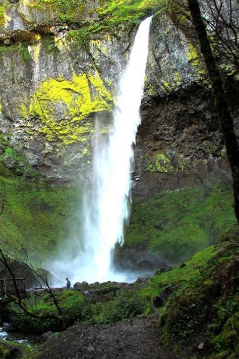 Photos Of Elowah Falls Oregon