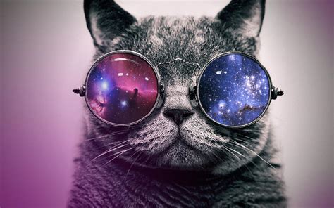 Hipster Cat With Glasses By Annedelune On Deviantart