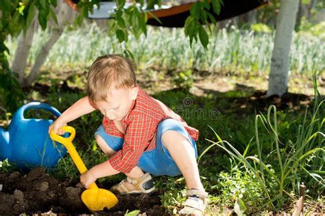 2806 Boy Digging Stock Photos Free And Royalty Free Stock Photos From