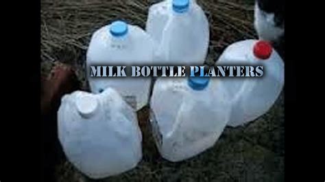 Milk Bottle Planters Vegetable Planters Made Easy Youtube