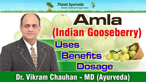 It has also been sparingly found in england, caucasus, northern africa, and north america. Amla (Indian Gooseberry)- Benefits, Uses, Dosage & Side ...