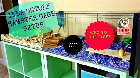 Ikea Detolf Hamster Cage Setup Who Got The Cage Youtube