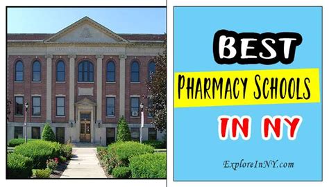 Top 11 Best Pharmacy Schools New York