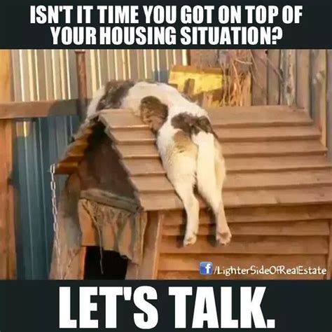 Lets Talk Cats Real Estate Humor Funny Animals