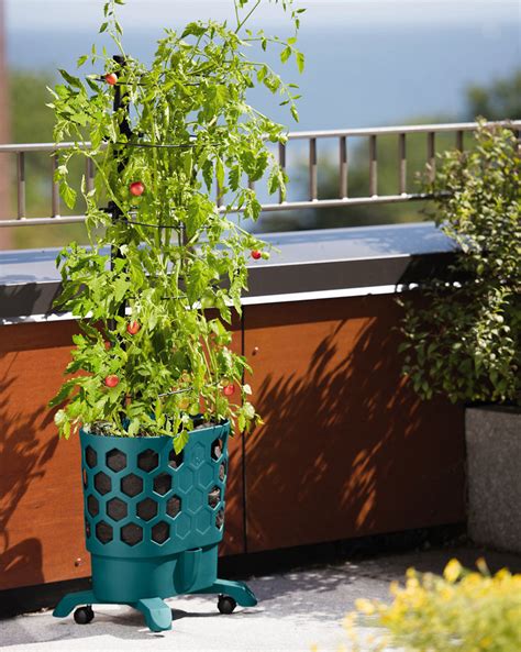Gardeners Revolution Self Watering Tomato Planter With Support Rings
