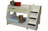 Bunk Beds For Dogs Pictures