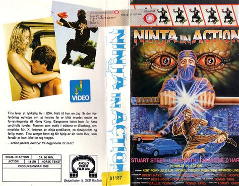 Ninja In Action 1987