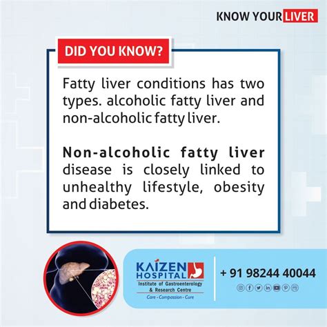 To Take Good Care Of Your Liver First You Should Know It Well Know