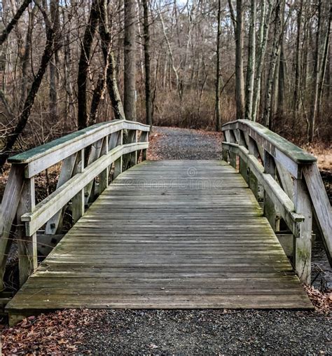 Walking Bridge On Trail In The Woods Stock Image Image Of Nature