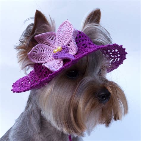 Hat For Dog Orchid Dog Sun Hats Party Hats For