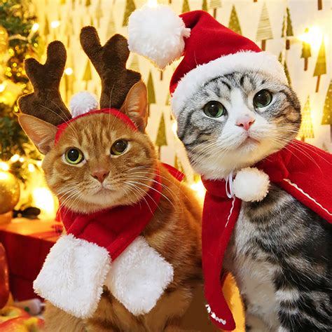 Buy Funny Christmas Suit For Cats Hat