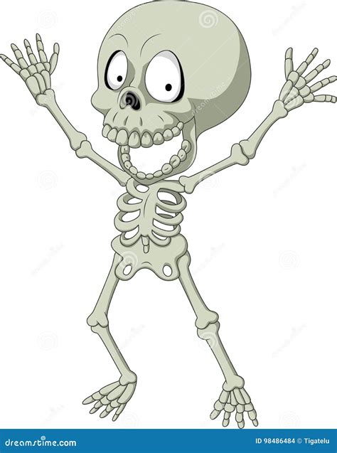 Cartoon Funny Human Skeleton Stock Vector Illustration Of Funny Skeletal 98486484