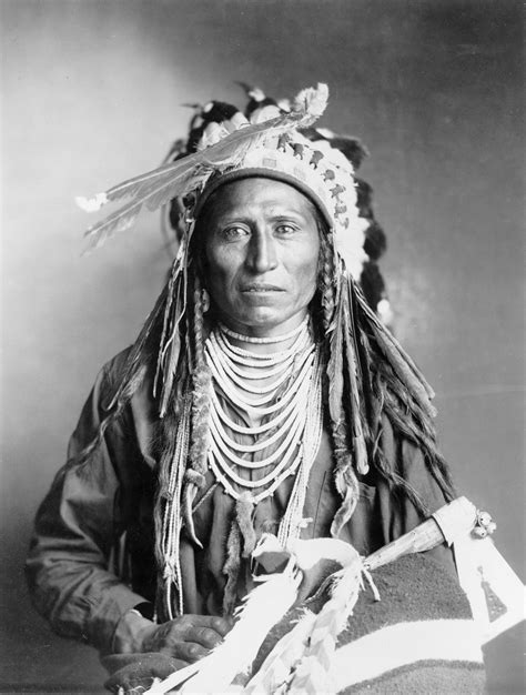 Shoshone People Native American Indians Native American Men Native American Pictures