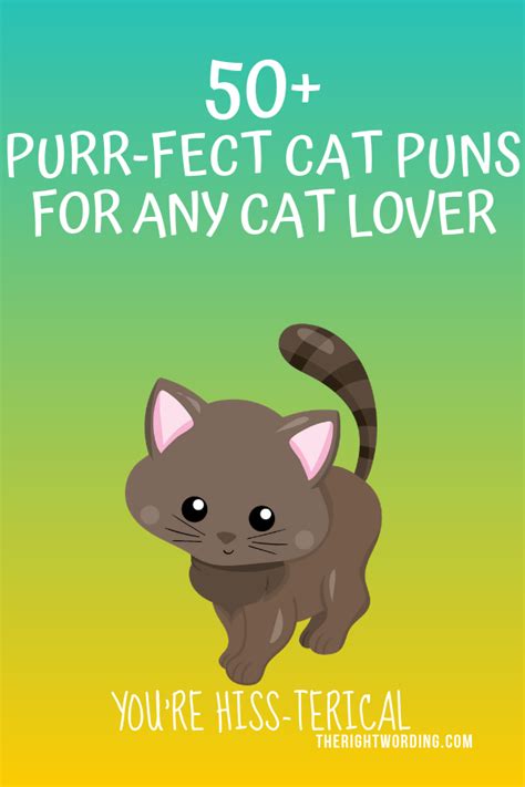 More than 100 fresh distinctive names for black cats. 50+ Hiss-terically Purr-fect Cat Puns For Any Cat Lover ...