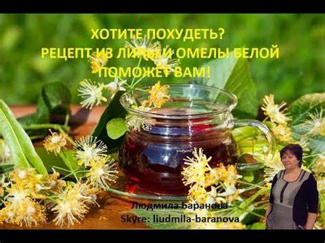 Как похудеть с помощью липы омелы