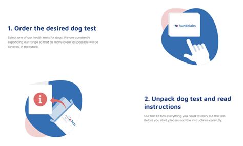 Hundelabs Allergy Test And Intolerance Test For Dogs Dog Allergy Tests
