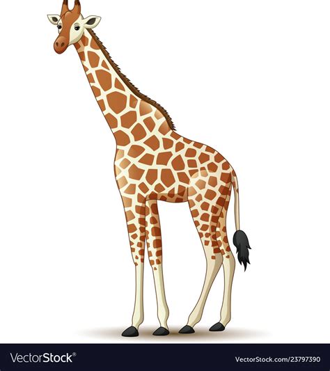 Cartoon Giraffe Isolated On White Background Vector Image My Xxx Hot Girl