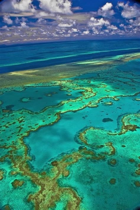 Great Barrier Reef Marine Park Authority Australia Unesco World