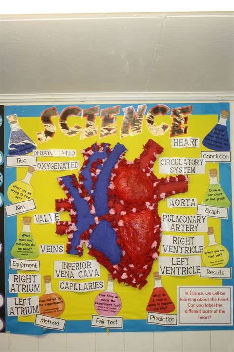A Bulletin Board With An Image Of A Heart And The Words Science Written