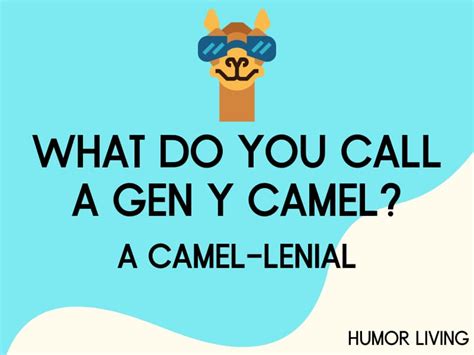 55 Hilarious Camel Jokes To Get You Through Hump Day Humor Living