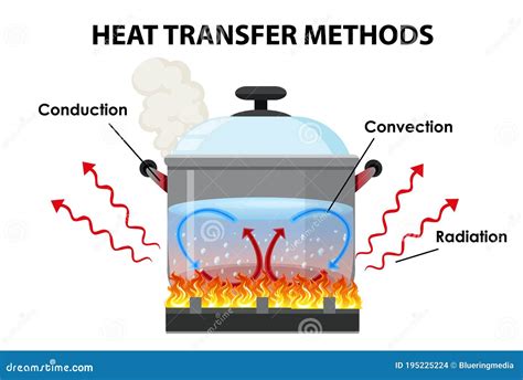 Heat Transfer Physics Poster Vector Illustration Diagram With Heat