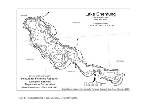 Discover Lake Chemung - Nature's Gem at the Heart of LCORI