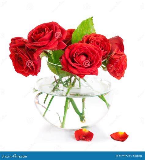 Bunch Red Roses In Glass Vase Stock Photo Image Of Object Vegetation