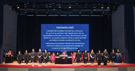 Dual accreditation highlights excellence of veterinary programme