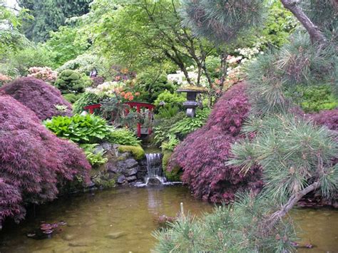 Los 10 Tipos De Jardín Más Bellos Y Populares Japanse Tuin Tuinvijver