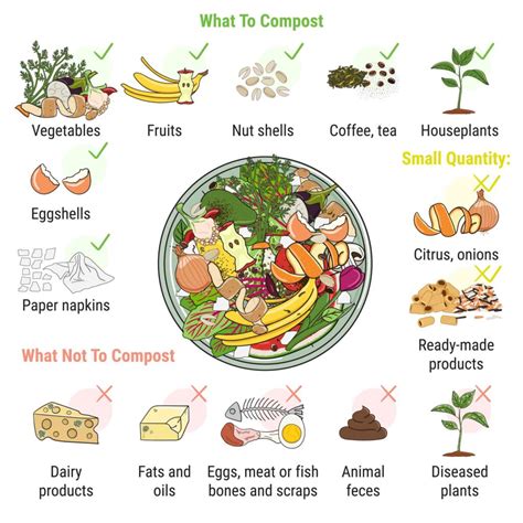 What Can You Compost The Ultimate List Of Composting Ingredients