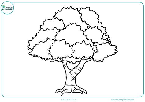 Details 48 Dibujos De árboles Para Dibujar Abzlocalmx