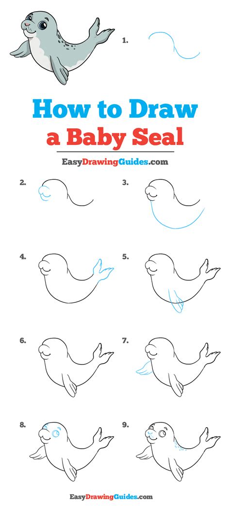 Drawing a scenery of waterfall at sunset step by step.how to. How to Draw a Baby Seal | Obrázky