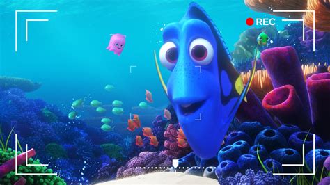 Dorys Reef Cam 2020 Backdrops — The Movie Database Tmdb