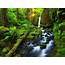 Beautiful Costa Rica Falls River Jungle Lush Green Vegetation Fern 