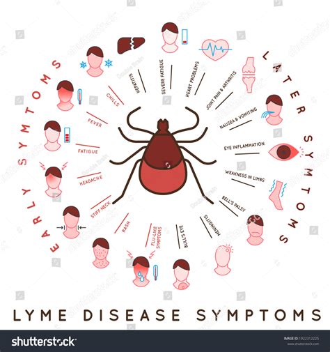 Protect Yourself Against Ticks Lyme Disease ภาพประกอบสต็อก 1922312225