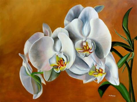 Delmus Phelps Fine Art And Flower Art Có Hình ảnh Hoa Hoa Lan