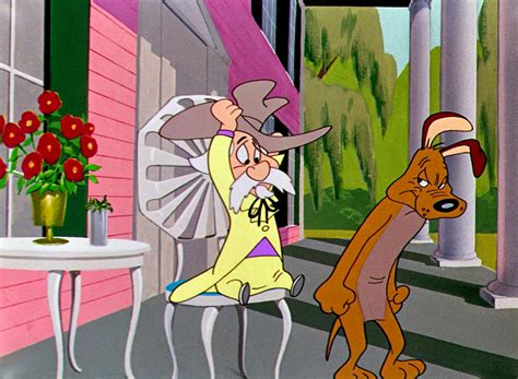 Looney Tunes Pictures Dog Gone South