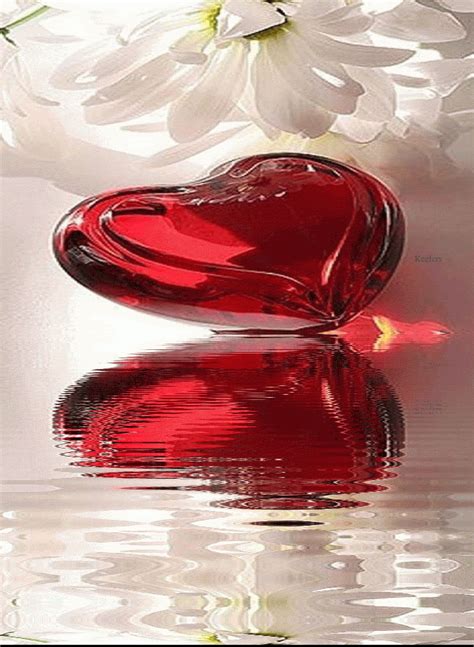 Red Heart Water Reflection  Valentines  Animated Heart