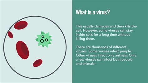 Viral Infections Causes Diagnosis Prevention And Treatment Merck