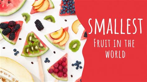 Smallest Fruit In The World Nutritional Value Of The Smallest Fruit