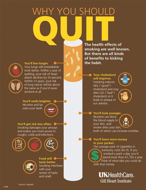Tips For Restoringrebuilding Your Lungs After You Quit Smoking