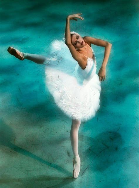 Alina Somova Swan Lake Photographer Ballet Beautiful Swan Lake