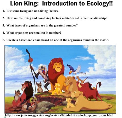 Food Chain Example In Lion King Cardinvitationjui